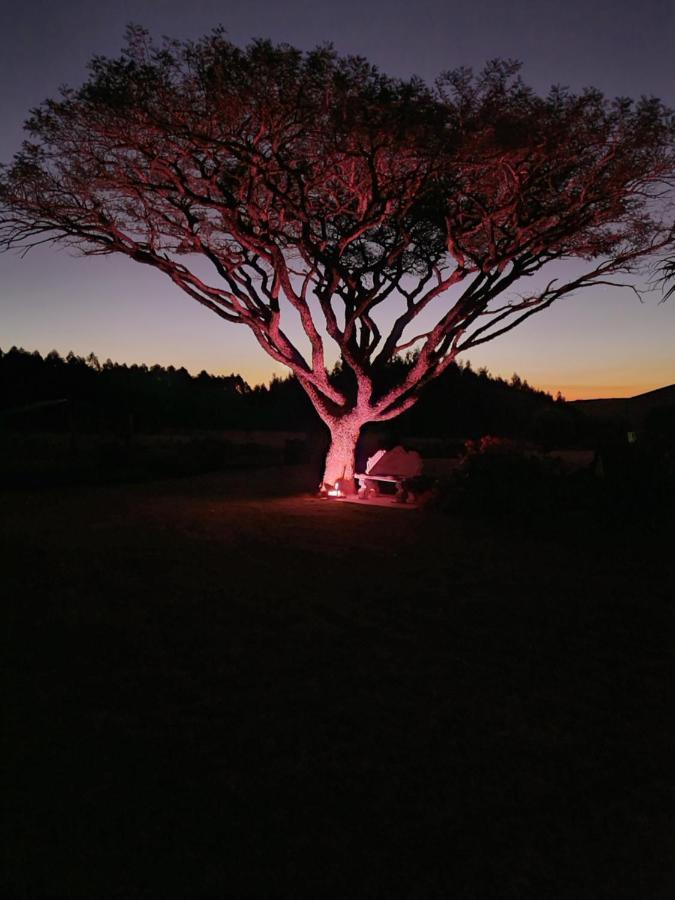 Forest Hill Country Lodge Piet Retief Εξωτερικό φωτογραφία