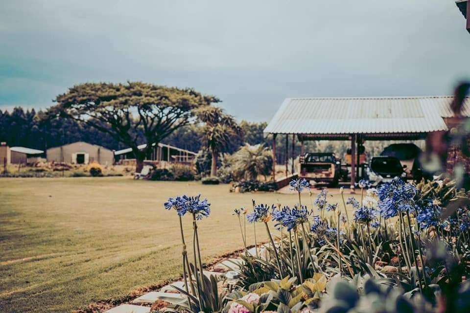 Forest Hill Country Lodge Piet Retief Εξωτερικό φωτογραφία