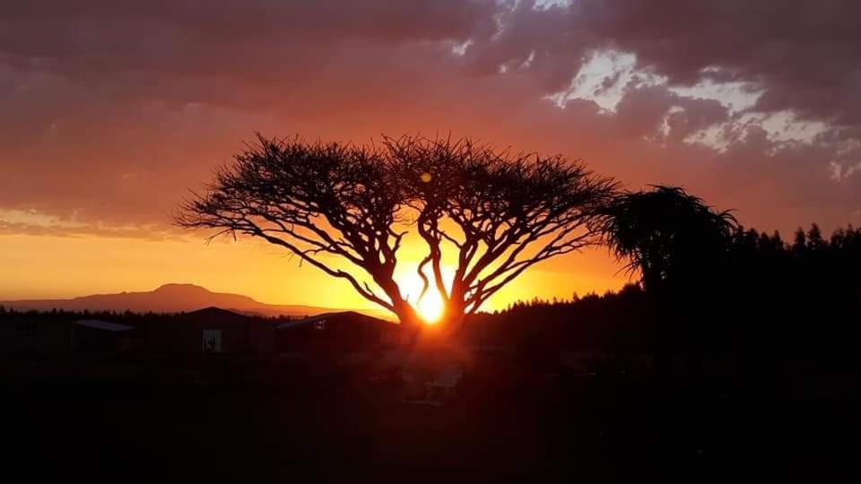 Forest Hill Country Lodge Piet Retief Εξωτερικό φωτογραφία